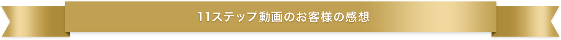 11ステップ動画のお客様の感想